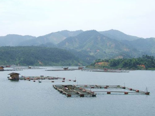 東江湖水產(chǎn)養(yǎng)殖基地 東江湖水產(chǎn)養(yǎng)殖基地